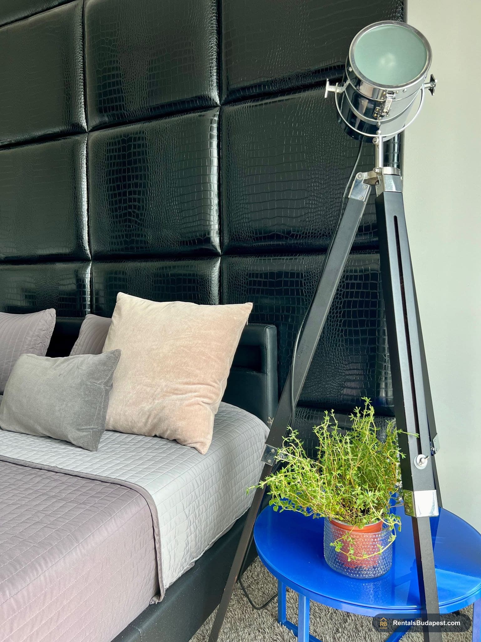  2-Bedroom Apartment for Rent – Madách Imre Square, Budapest VII