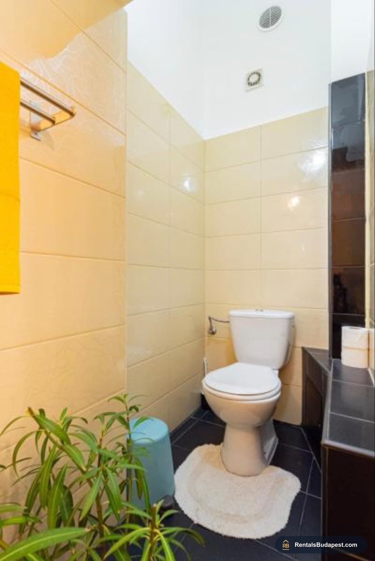 Elegant Furnished Apartment for Rent on Nádor Street – Budapest V