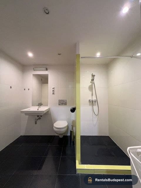 Investment Property for Sale near Blaha Lujza tér