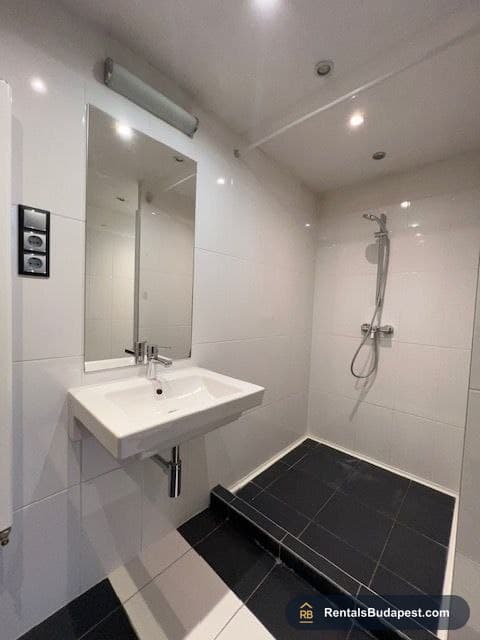 Investment Property for Sale near Blaha Lujza tér