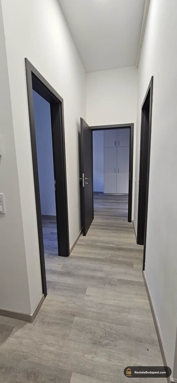 Hallway with dark wooden doors open to a room and white built-in wardrobe