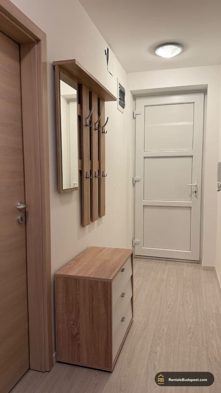 Hallway with wooden coat rack, drawer cabinet and white entrance door, Viola utca